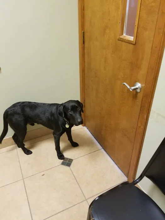 Treasure Coast Animal Emergency and Specialty Hospital 12