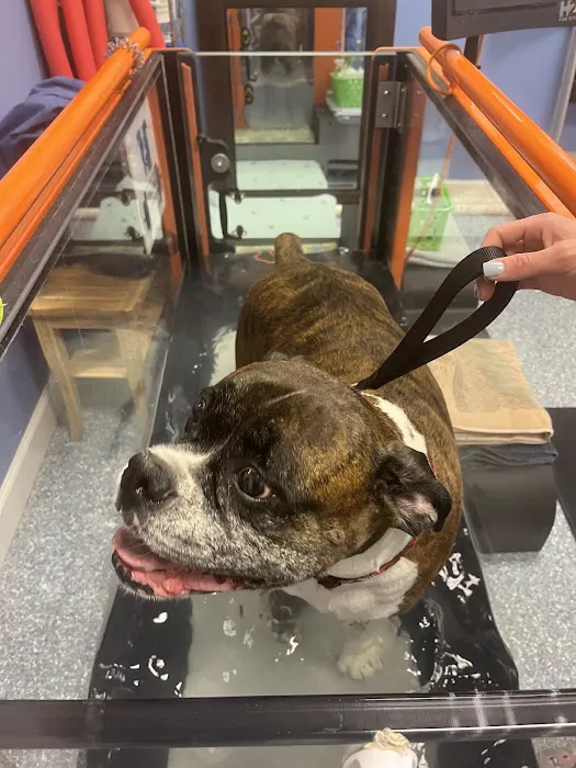 Treasure Coast Animal Rehabilitation & Fitness 12