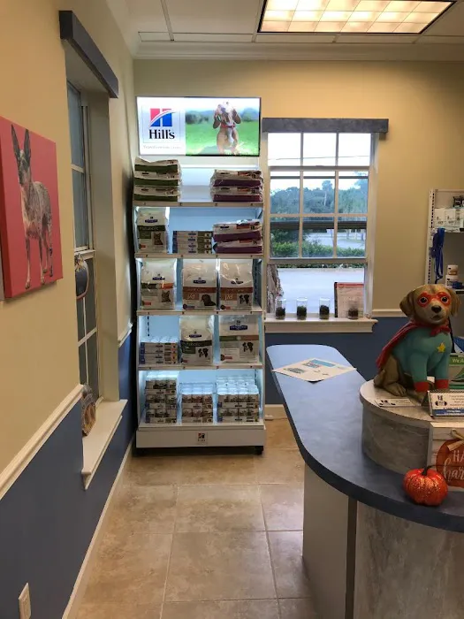 Treasure Coast Animal Rehabilitation & Fitness 12