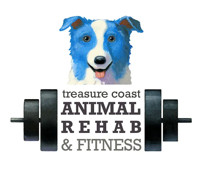 Treasure Coast Animal Rehabilitation & Fitness 12