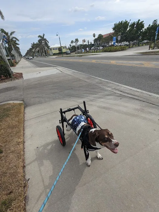 Treasure Coast Animal Rehabilitation & Fitness 12