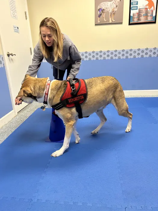 Treasure Coast Animal Rehabilitation & Fitness 12