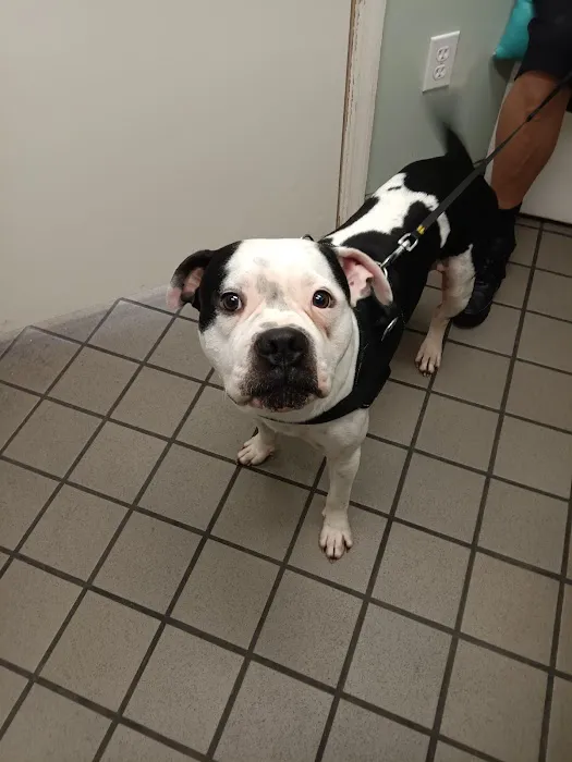 Hometown Pet Care Center 12