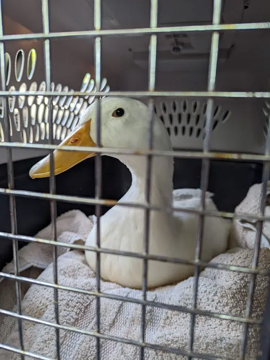 Sebastian Animal and Bird Hospital 12