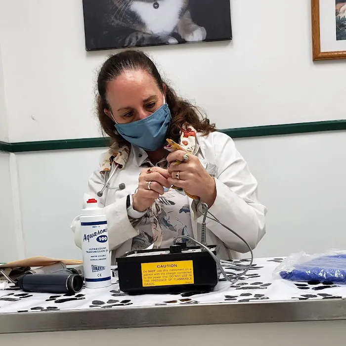 Sebastian Animal and Bird Hospital 12