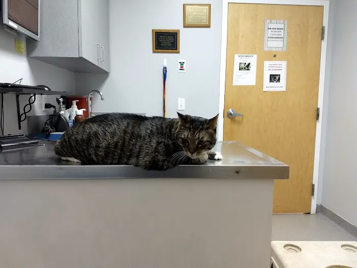 Highlands Animal Hospital 3