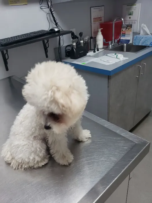 Highlands Animal Hospital 9