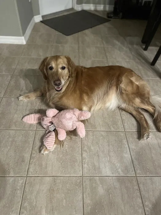Highlands Animal Hospital 5