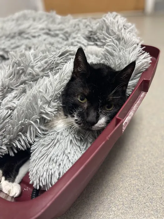 Highlands Animal Hospital 7