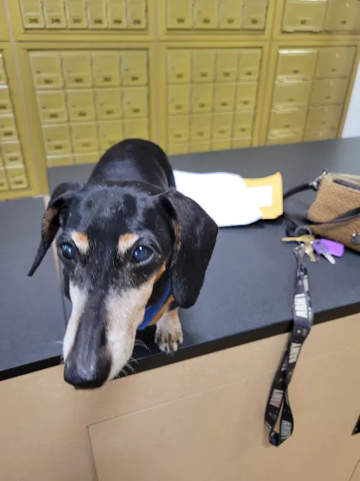 Grant Animal Clinic 3
