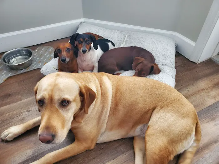 Grant Animal Clinic 2
