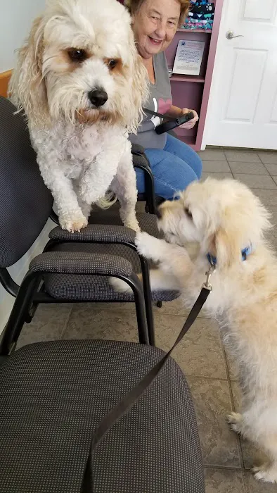 Grant Animal Clinic 6