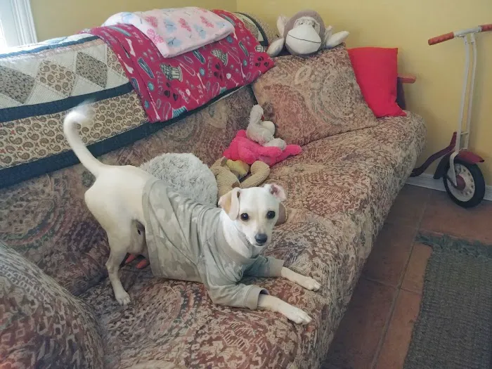 Grant Animal Clinic 8