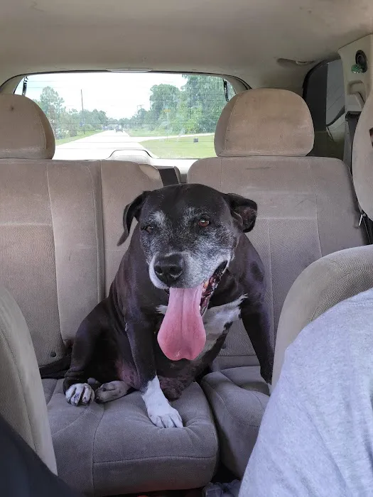 Grant Animal Clinic 5