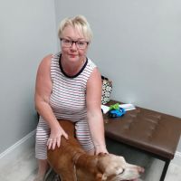Riverdale Veterinary Clinic ico