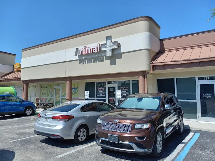 VetNow Urgent Care 1