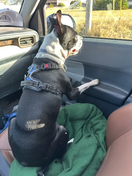 VetNow Urgent Care 3
