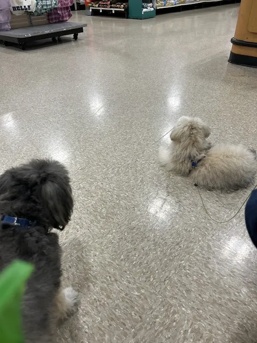 Banfield Pet Hospital 3