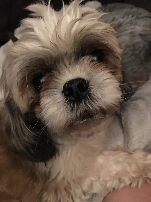 Banfield Pet Hospital 6