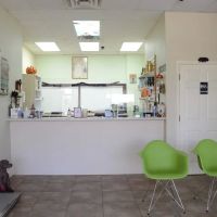 North Shore Animal Hospital ico