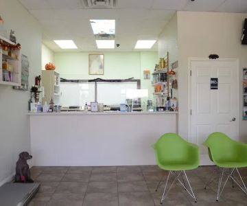 North Shore Animal Hospital