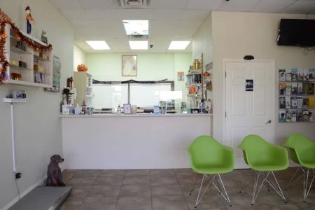 North Shore Animal Hospital