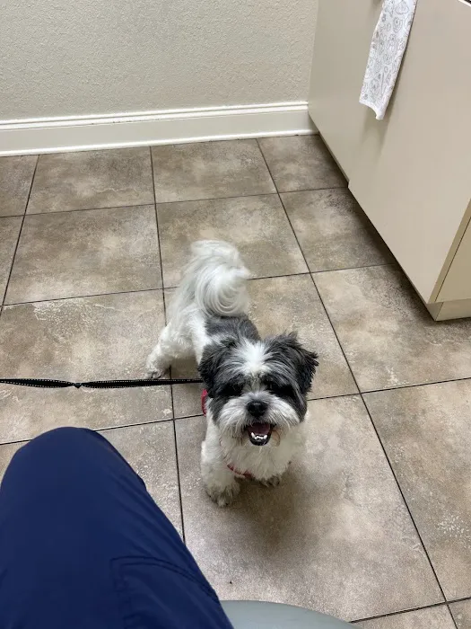 North Shore Animal Hospital 12