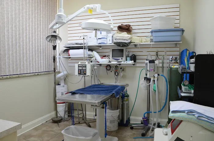 North Shore Animal Hospital 12