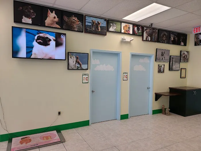Bayshore Animal Hospital 12
