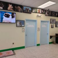 Bayshore Animal Hospital ico