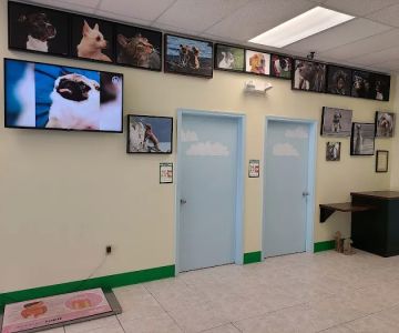 Bayshore Animal Hospital