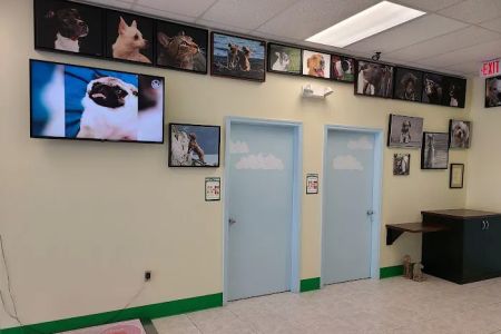Bayshore Animal Hospital