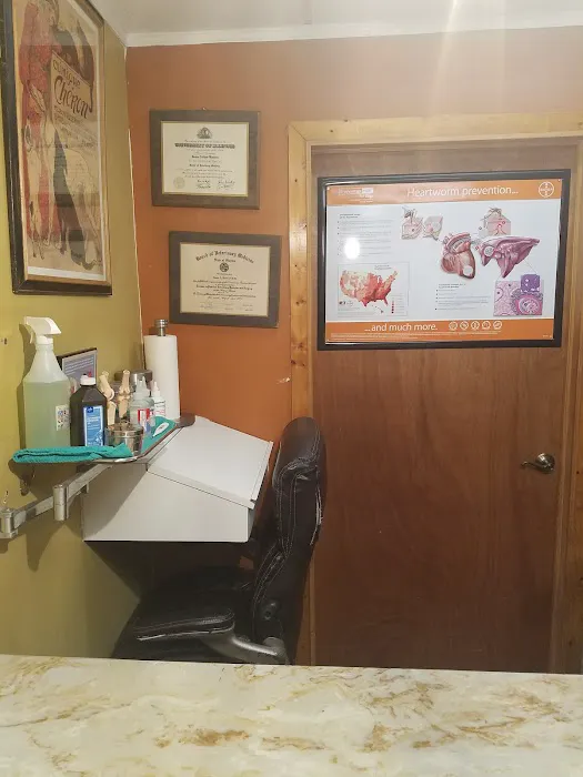 Eastside Animal Hospital 12