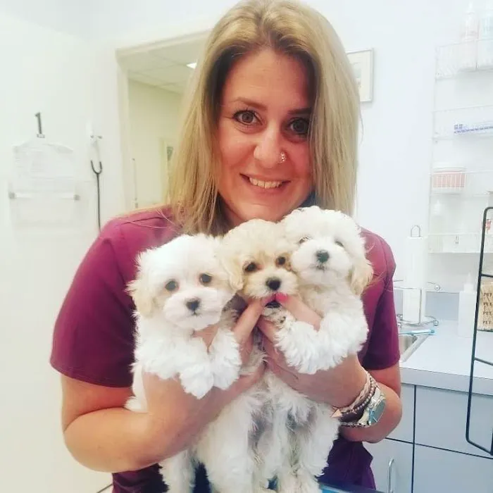 Verandah Pet Hospital 12