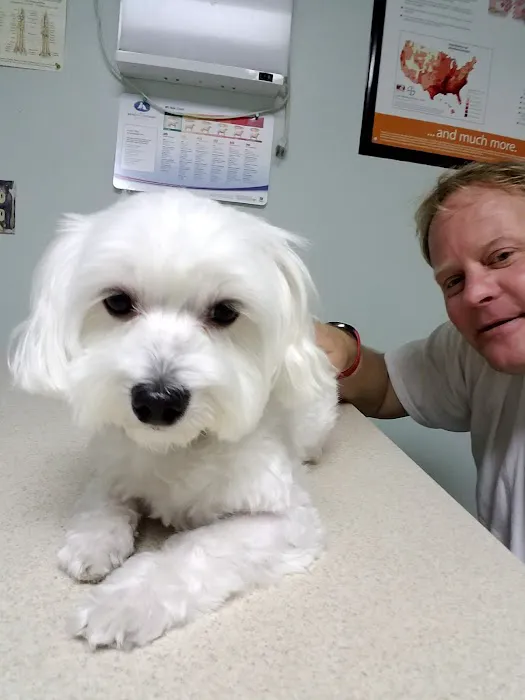 Suburban Animal Hospital 12