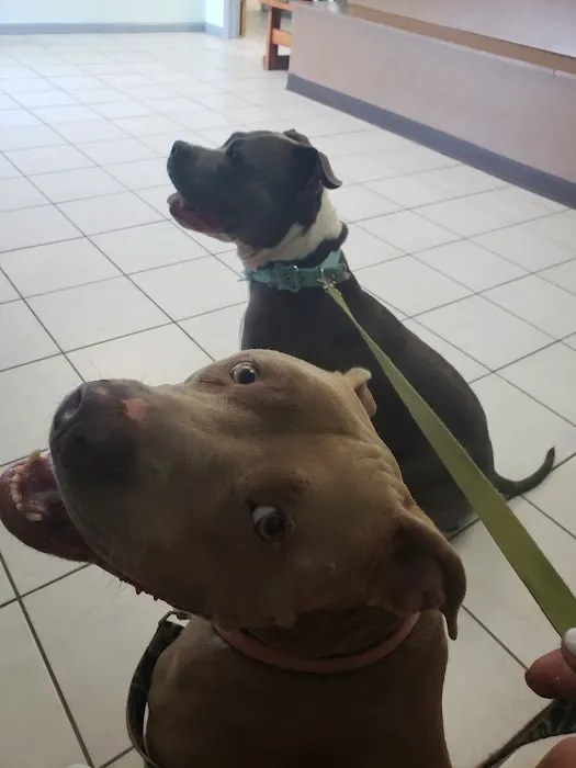 Suburban Animal Hospital 12