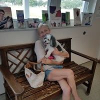 Animal Hospital of Labelle ico