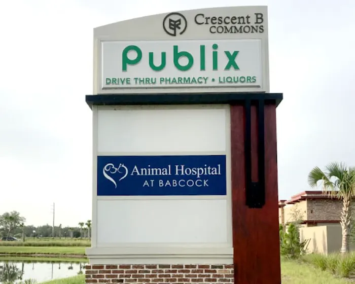 Animal Hospital at Babcock 9