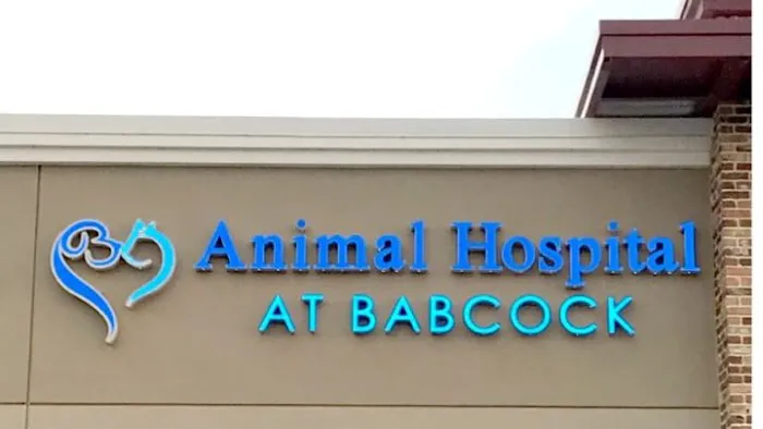 Animal Hospital at Babcock 10