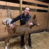 Sunny Coast Equine Veterinary ico