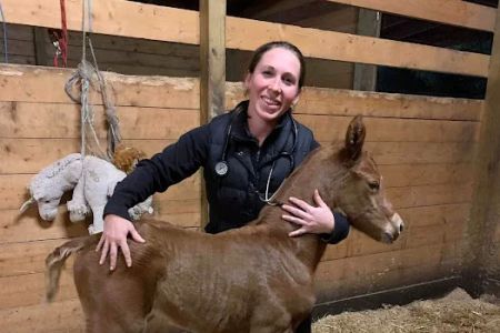 Sunny Coast Equine Veterinary