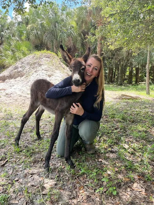Sunny Coast Equine Veterinary 12