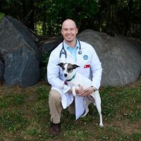 BURNT STORE ANIMAL HOSPITAL ico