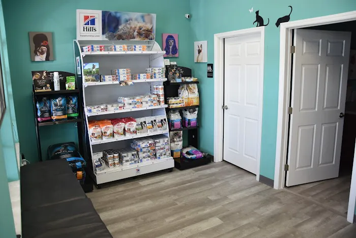 BURNT STORE ANIMAL HOSPITAL 12