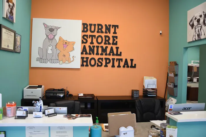 BURNT STORE ANIMAL HOSPITAL 12