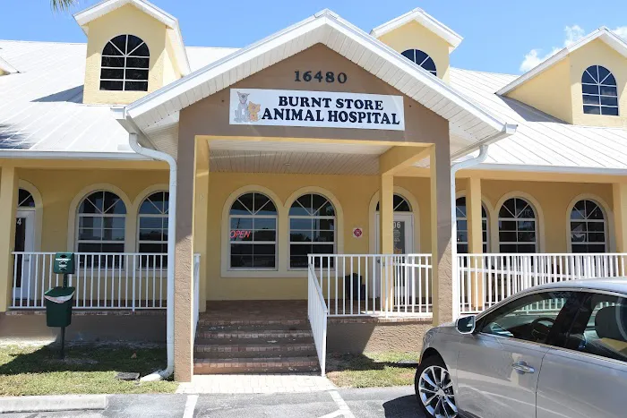 BURNT STORE ANIMAL HOSPITAL 12