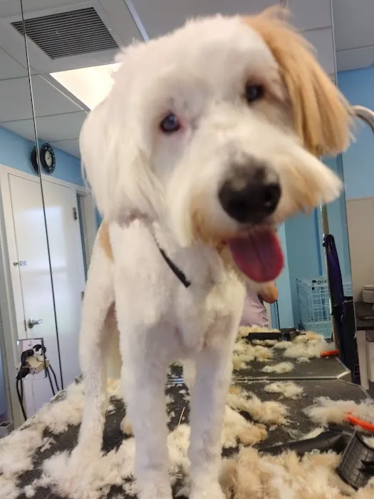 Pine Island Animal Clinic w/Boarding & Grooming 1