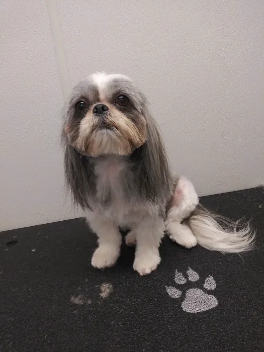Pine Island Animal Clinic w/Boarding & Grooming 10