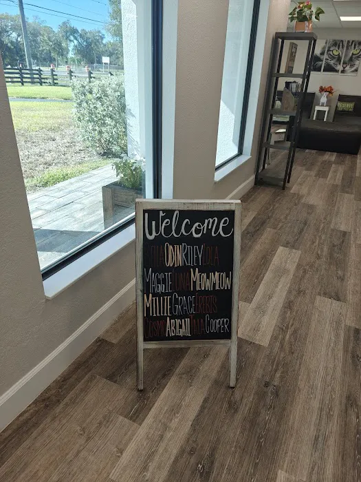 Halo Animal Hospital 1