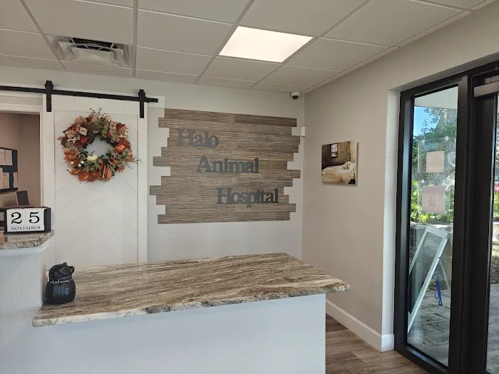 Halo Animal Hospital 7